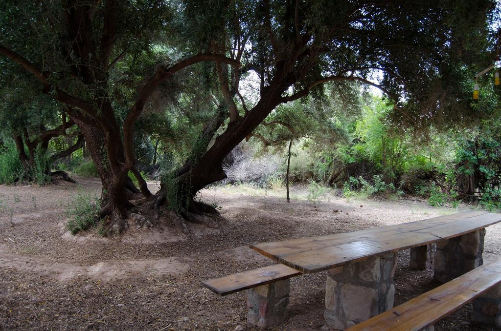 El Zorro Gris Villa Tinogasta Buitenkant foto